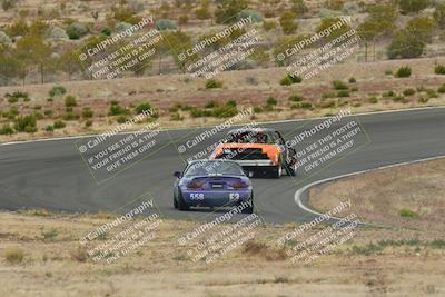 media/May-03-2025-Lucky Dog Racing (Sat) [[206de64b9d]]/Turn 2 (1020am-1120am)/